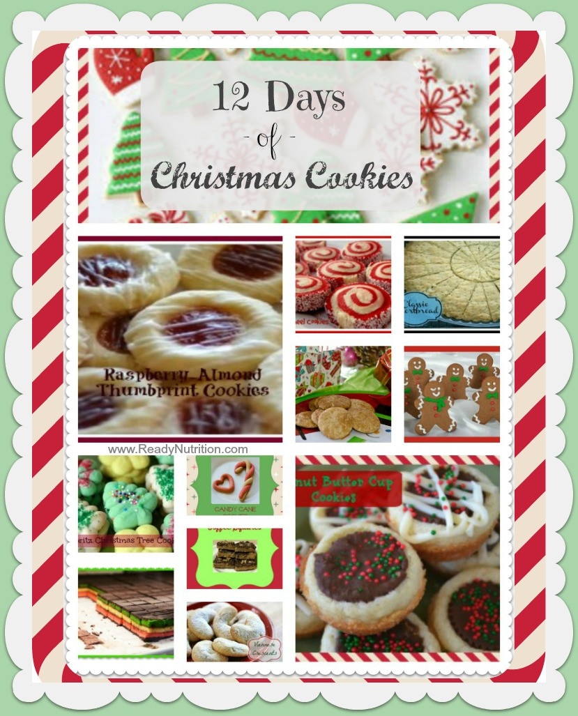 12 Days Of Christmas Cookies
 12 Days of Christmas Cookies