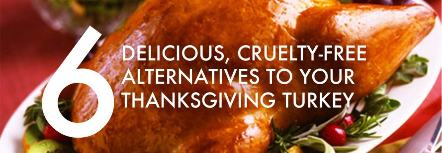Alternatives To Turkey For Thanksgiving
 Field Roast Grain Meat Inhabitat – Green Design
