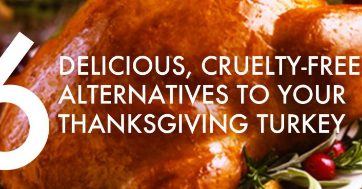 Alternatives To Turkey On Thanksgiving
 6 cruelty free alternatives to a real dead bird for your