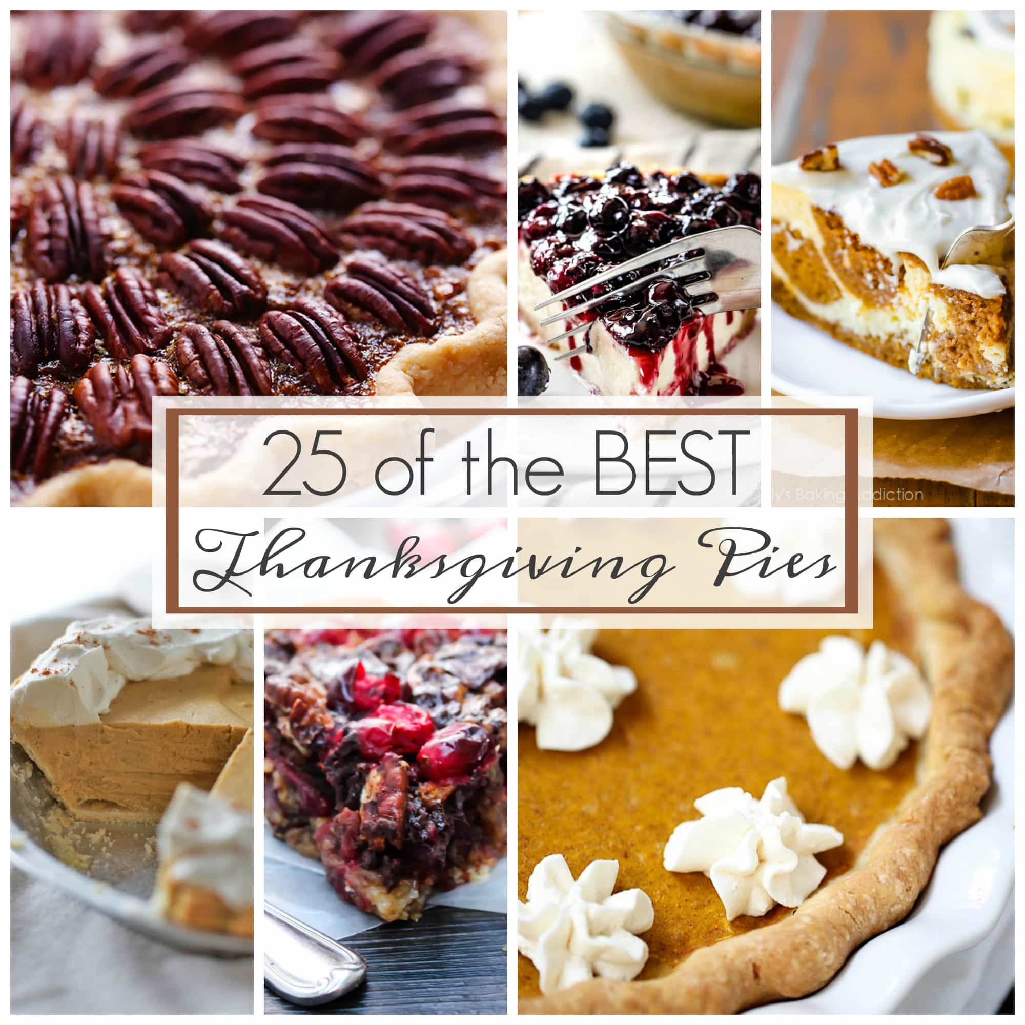 Best Pies For Thanksgiving
 25 of the Best Thanksgiving Pies A Dash of Sanity