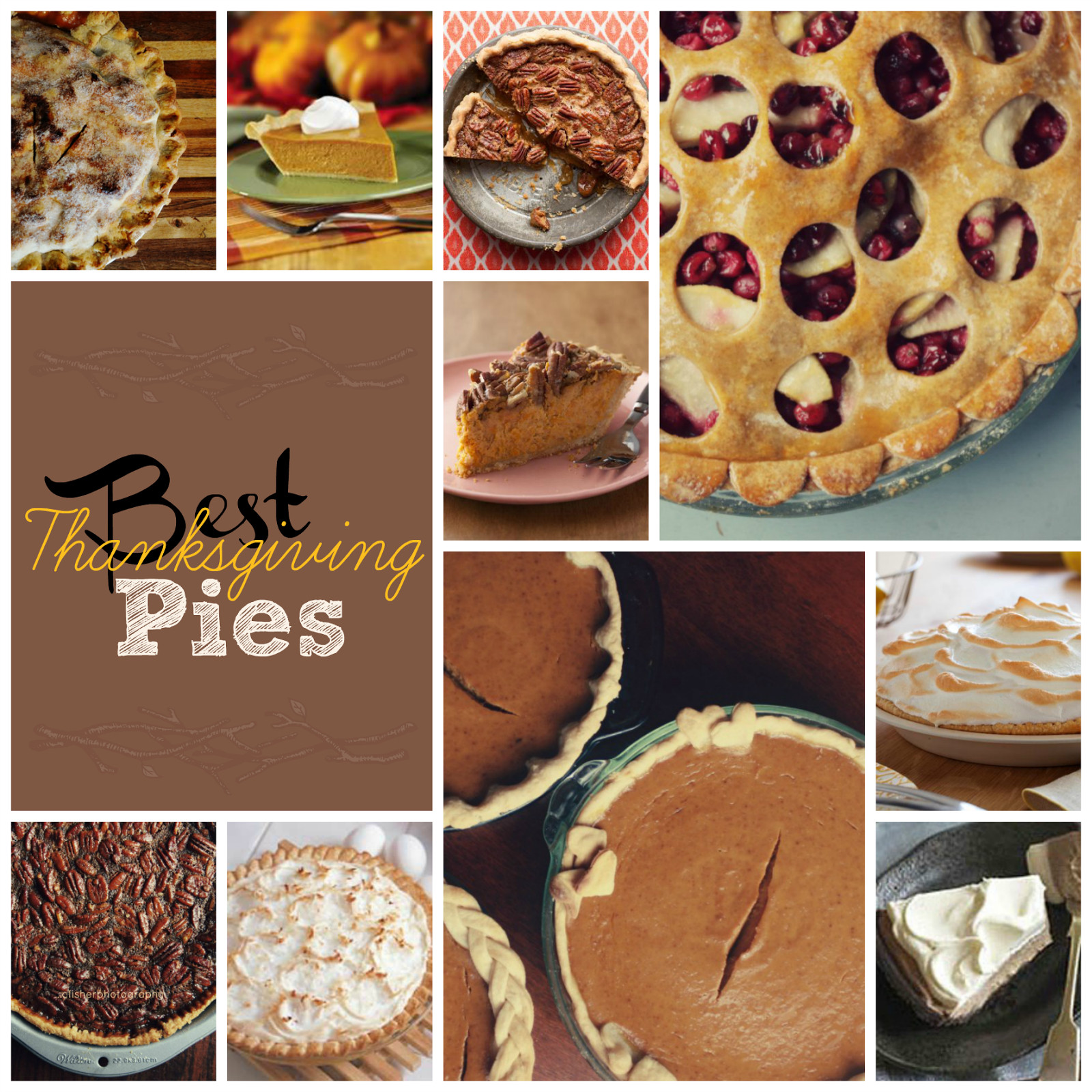 Best Pies For Thanksgiving
 Best Thanksgiving Pies This Girl s Life Blog