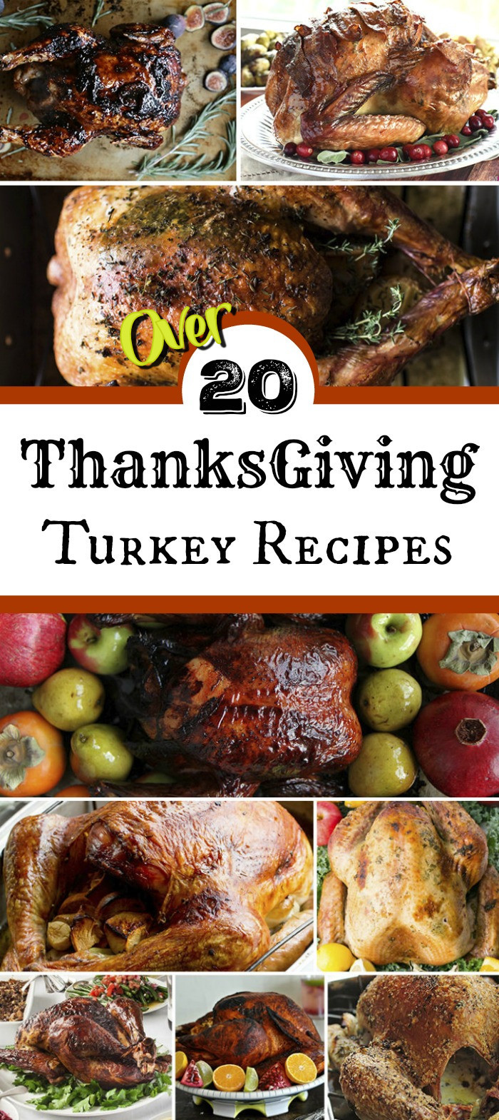 Best Thanksgiving Turkey Recipe
 Thanksgiving Turkey Recipes for the Best Thanksgiving