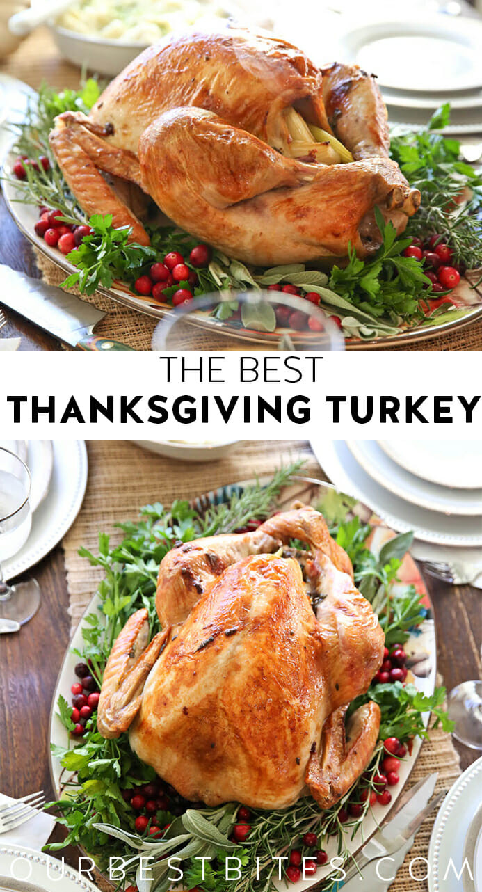 Best Thanksgiving Turkey Recipe
 The Best Thanksgiving Turkey