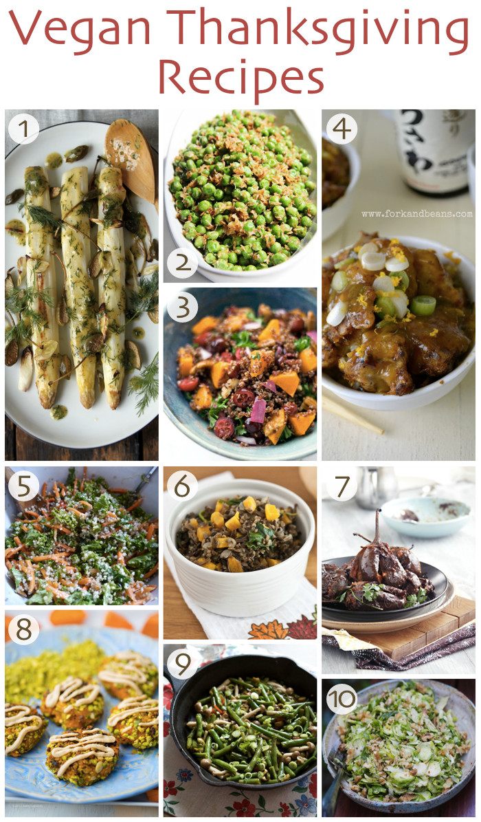 Best Vegan Thanksgiving Recipes
 10 Vegan Thanksgiving Recipes