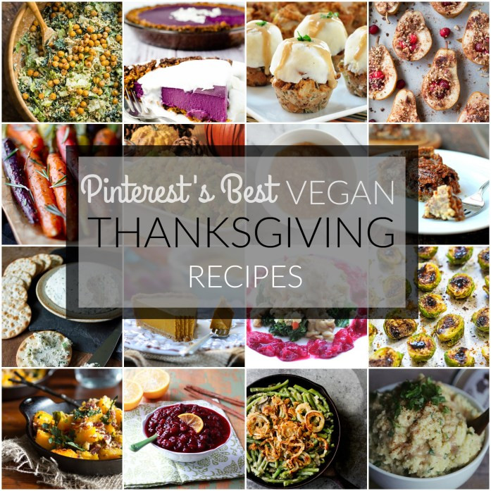 Best Vegan Thanksgiving Recipes
 Pinterest’s Best Vegan Thanksgiving Recipes – Tedi Sarah