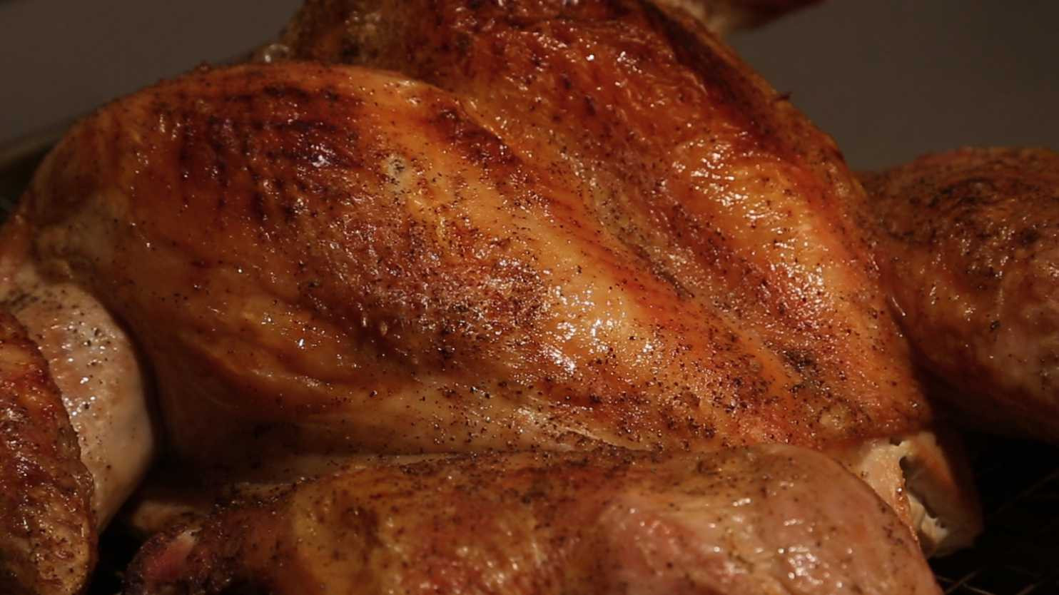 Best Way To Cook Thanksgiving Turkey
 Dear Science What s the best way to cook a turkey The