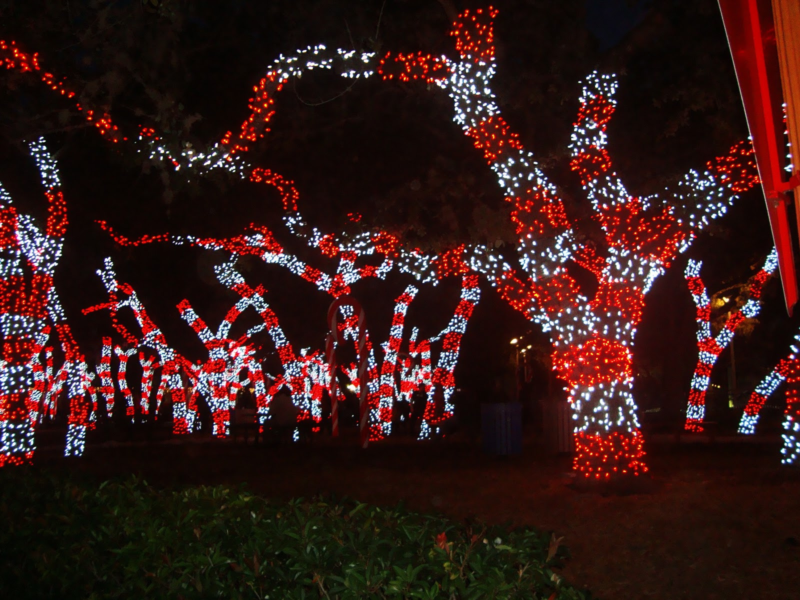 Candy Cane Christmas Lights
 There s Magic Out There SeaWorld San Antonio Christmas