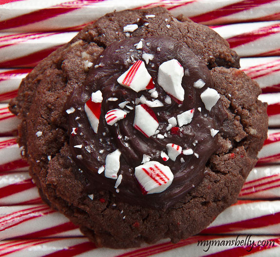 Chocolate Mint Christmas Cookies
 5 Christmas Cookies Will Make Your Holiday Season