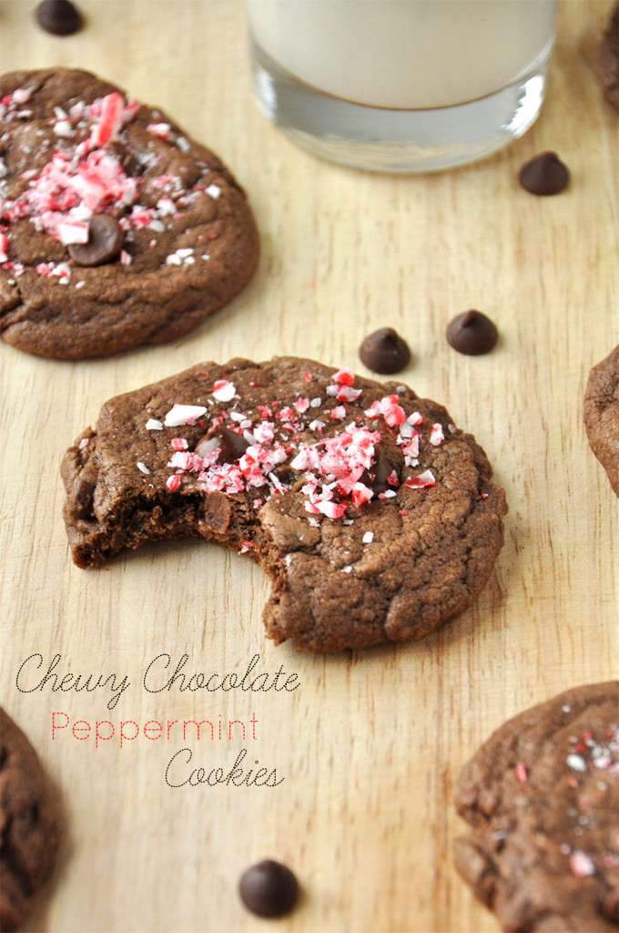 Chocolate Peppermint Christmas Cookies
 Chewy Double Chocolate Peppermint Cookies