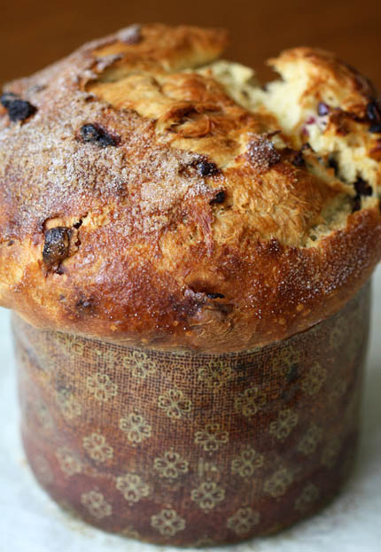 Christmas Bread Panettone
 Dimples & Delights Panettone