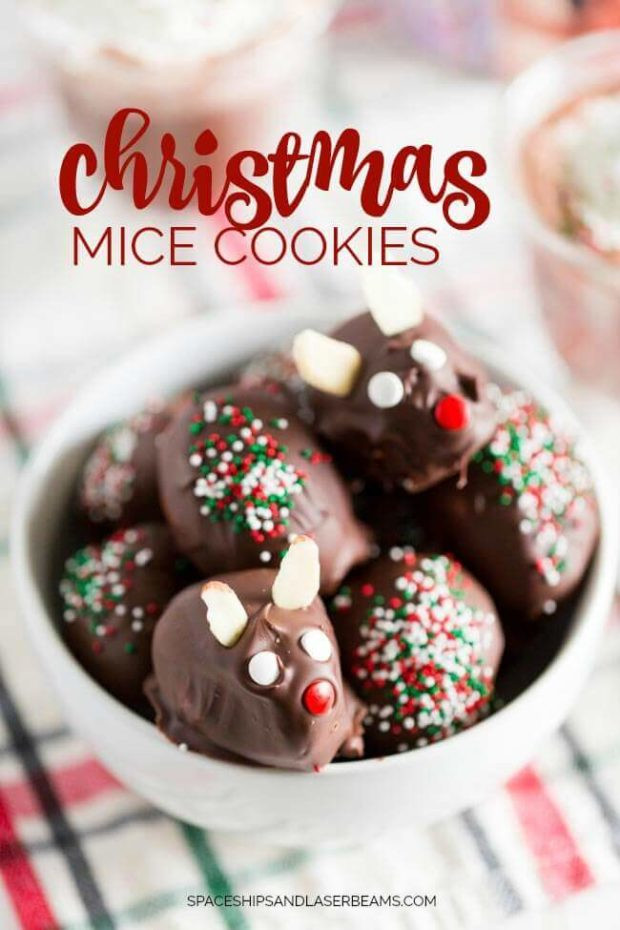 Christmas Mice Cookies
 Christmas Mice Cookies Candy Cane Hot Cocoa Spaceships