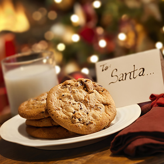 Christmas Milk And Cookies
 Springfield Why Do We Leave Out Cookies and Milk for