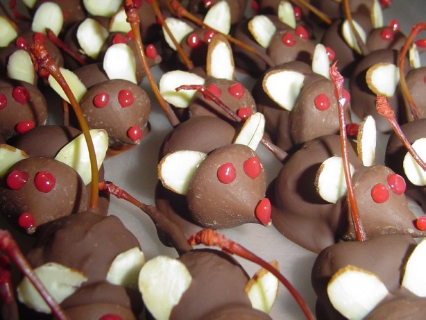 Christmas Mouse Candy
 Chocolate Christmas Mice Anytime Mice Recipe Food