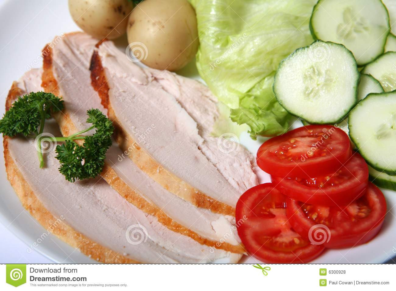 Cold Salads For Thanksgiving
 Cold Turkey Salad Close up Royalty Free Stock s