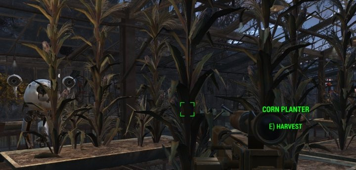 Corn Fallout 4
 Fallout 4 Get Purified Water and Food for Farming