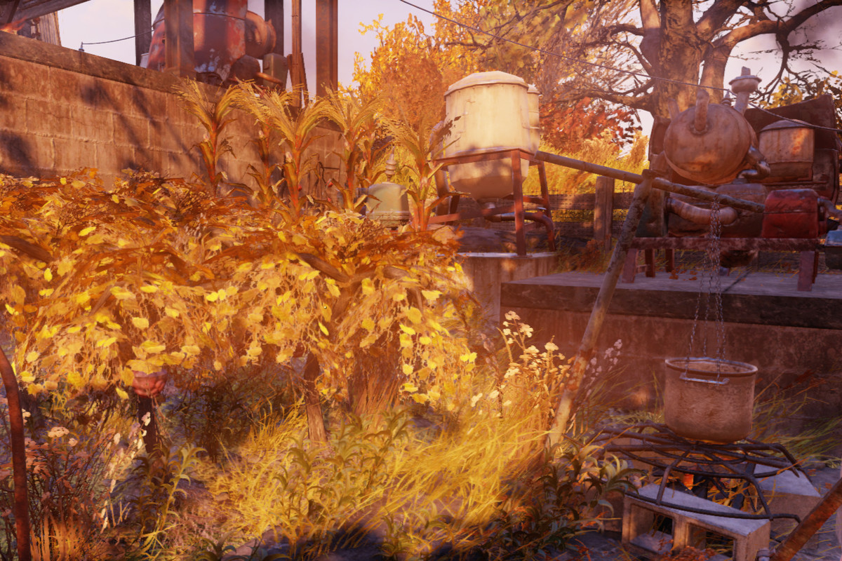 Corn Fallout 4
 Fallout 76 Guide How to make an Adhesive farm Polygon