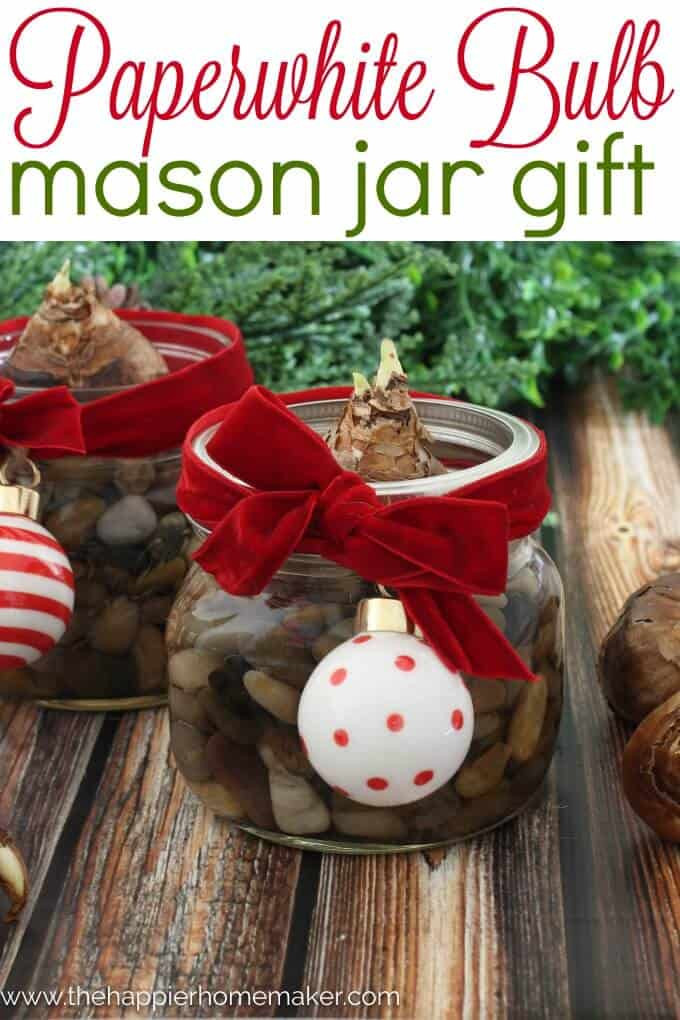 Diy Christmas Cookies
 Chocolate Chip Cookie Mix in a Jar