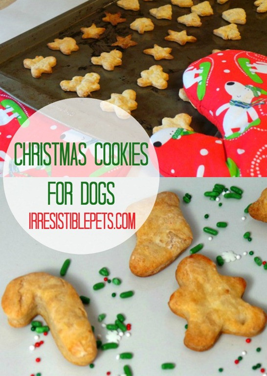 Dog Christmas Cookies
 Christmas Cookie Recipe for Dogs Irresistible Pets