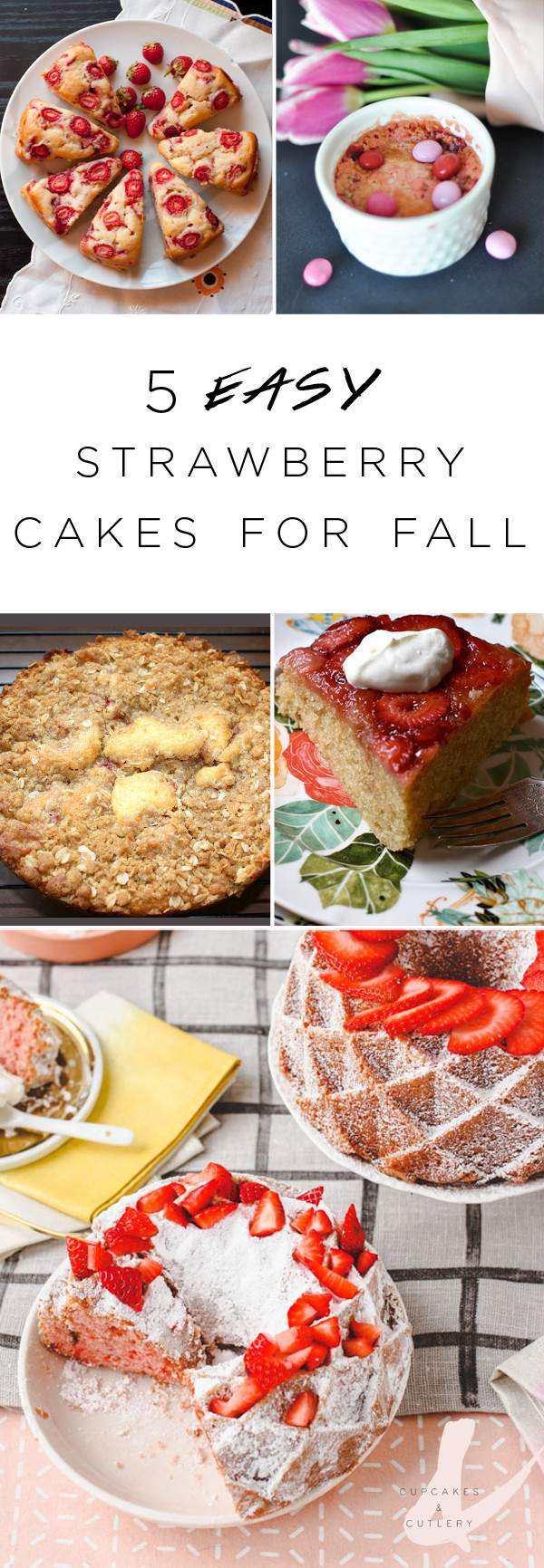 Easy Fall Desserts For A Crowd
 5 Easy Strawberry Cake Recipes for Fall