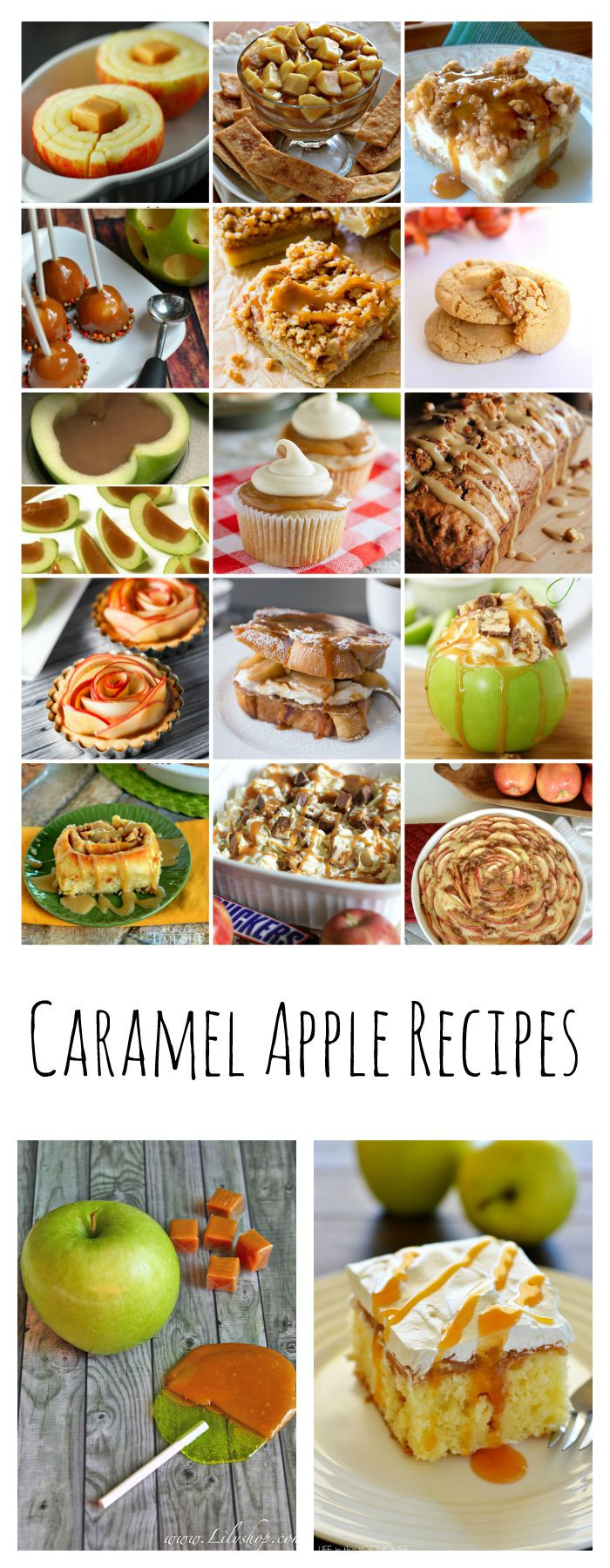 Fall Apple Recipes
 Caramel Apple Recipes The Idea Room