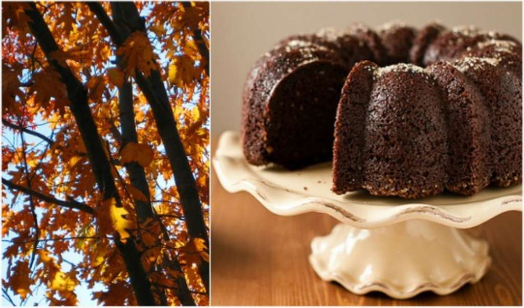 Fall Bundt Cake Recipes
 Seasonal Baking 5 Fall Bundt Cake Recipes