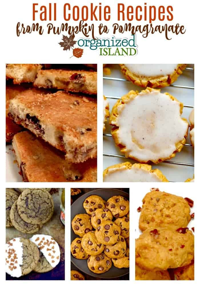 Fall Cookies Recipe
 Fall Cookie Recipes to Make and Enjoy