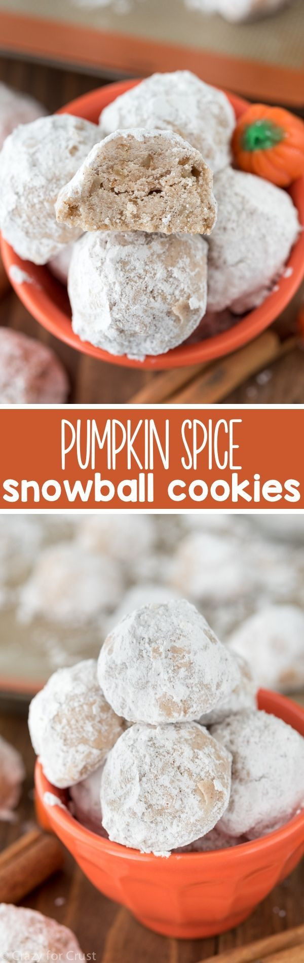Fall Cookies Recipe
 These Easy Pumpkin Spice Snowball Cookies are a family