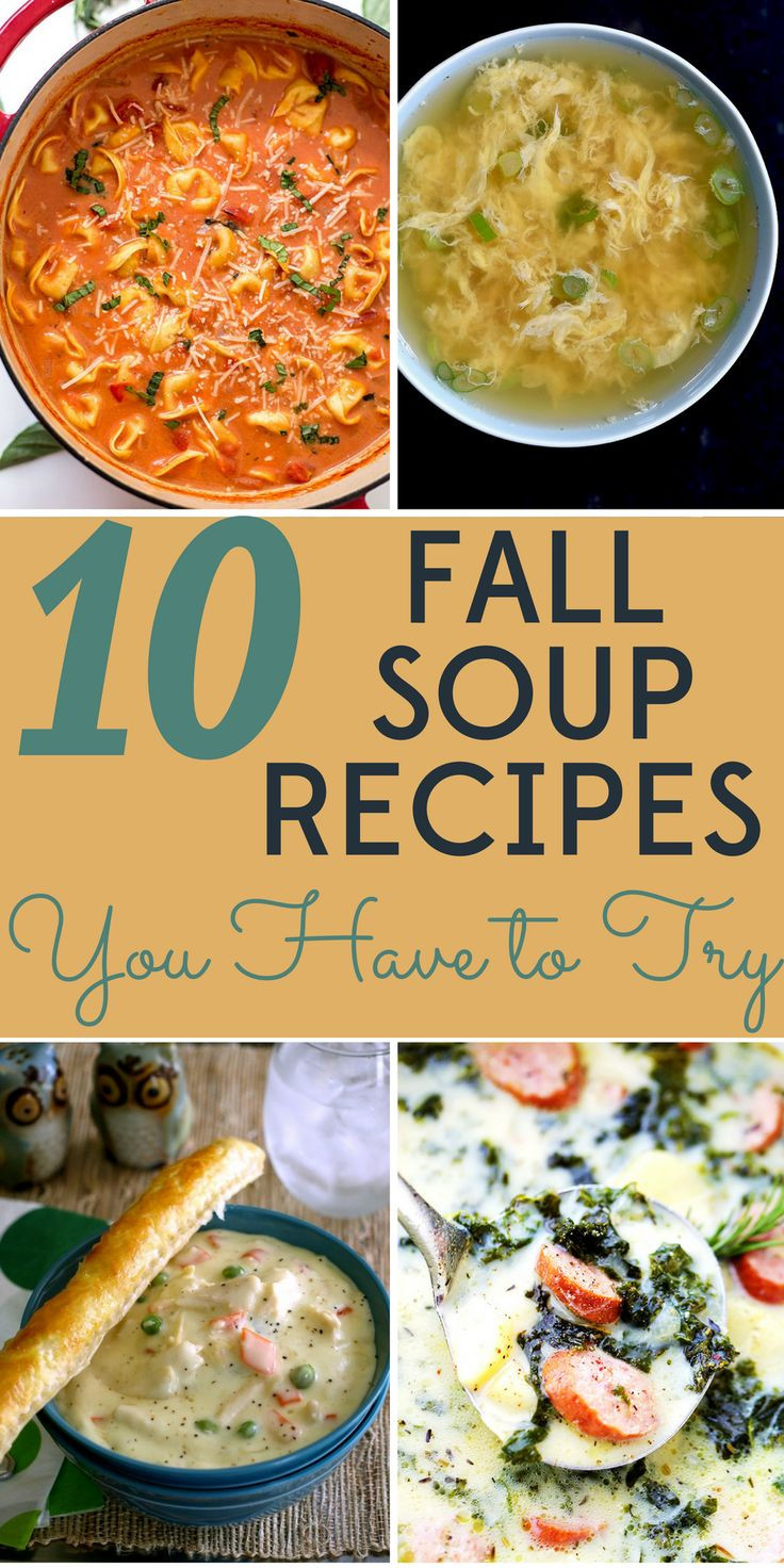Fall Soups Healthy
 243 best images about Bargain Babe on Pinterest