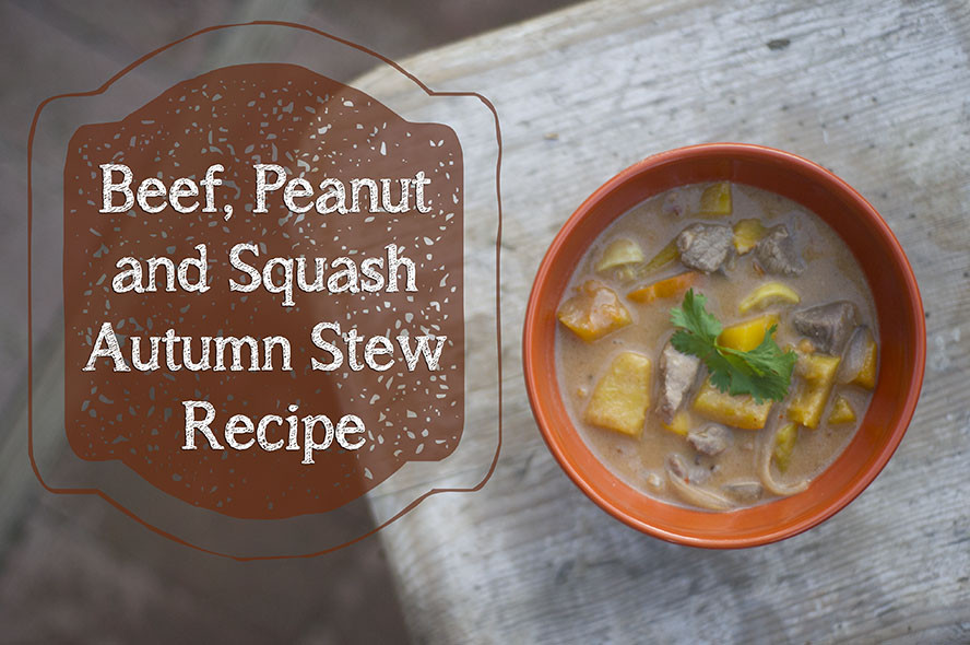 Fall Stew Recipes
 Beef Peanut and Squash Autumn Stew Recipe – Domestic Geek