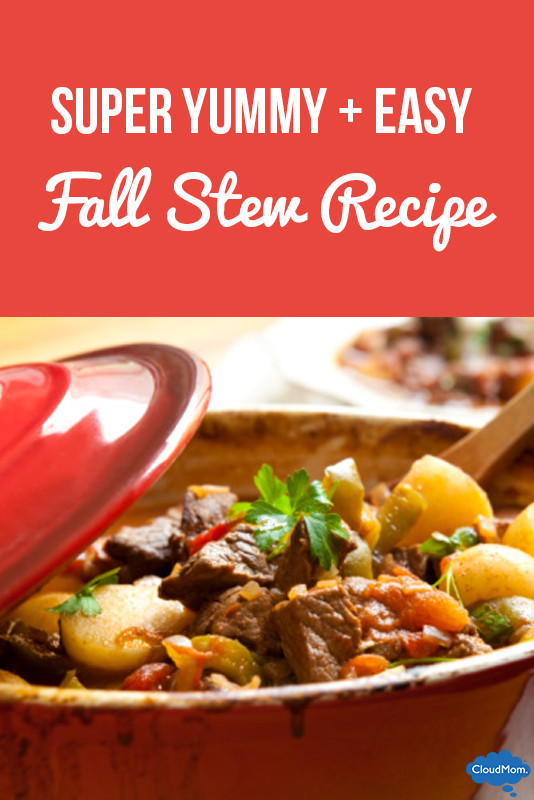 Fall Stew Recipes
 Fake Supermom Recipe 1 Fall Stew