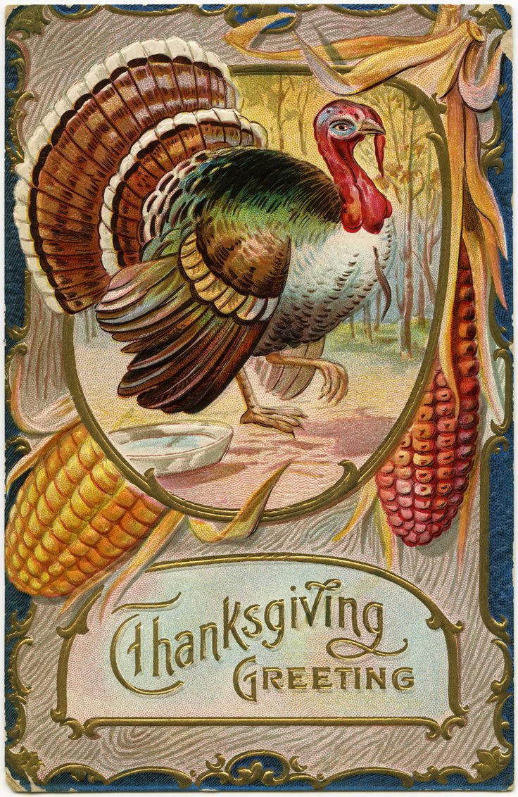 Free Turkey For Thanksgiving
 vintage thanksgiving Free