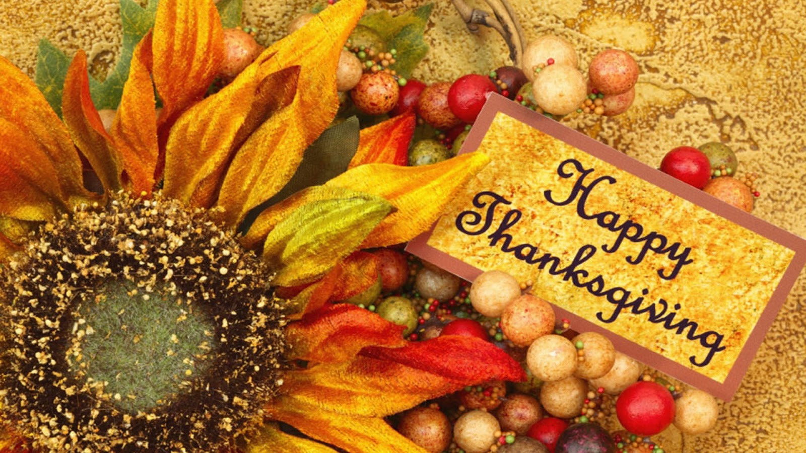 Free Turkey For Thanksgiving
 Thanksgiving Day 2012 Free HD Thanksgiving Wallpapers for
