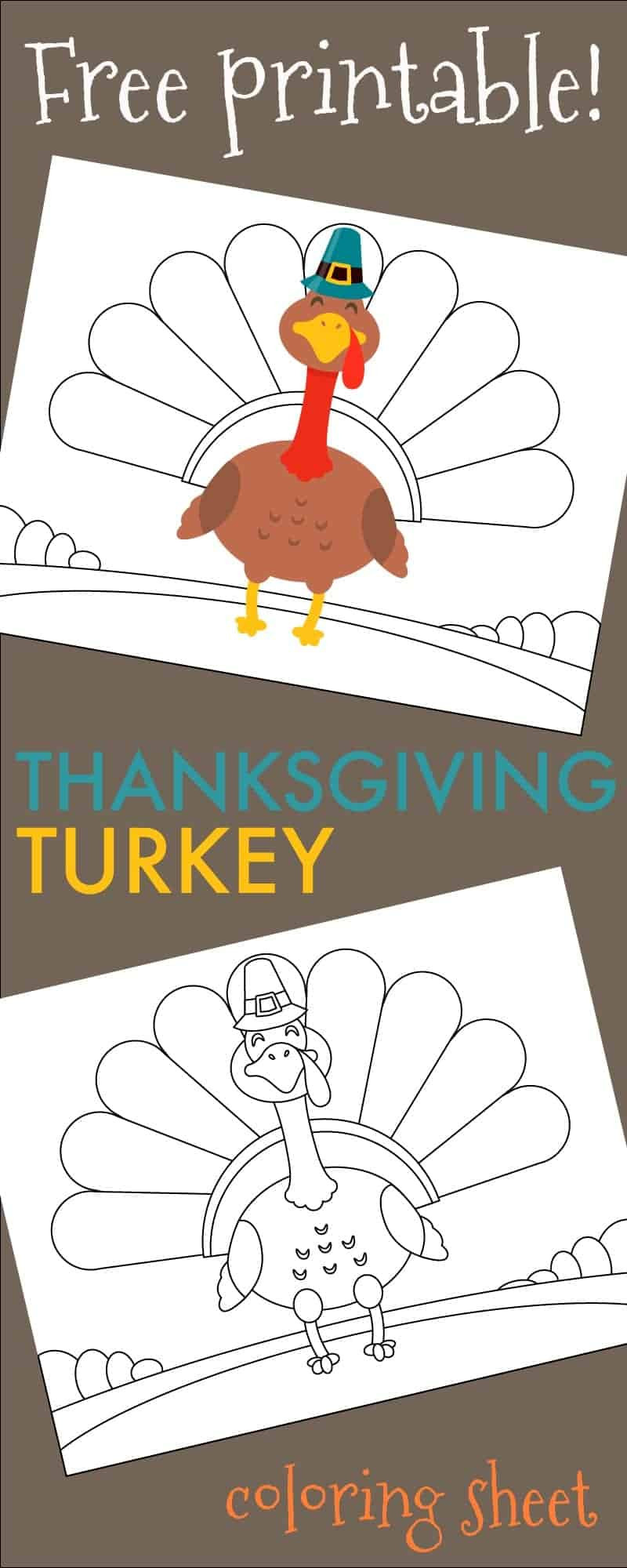 Free Turkey For Thanksgiving
 Thanksgiving Turkey Coloring Sheet Free Printable 730