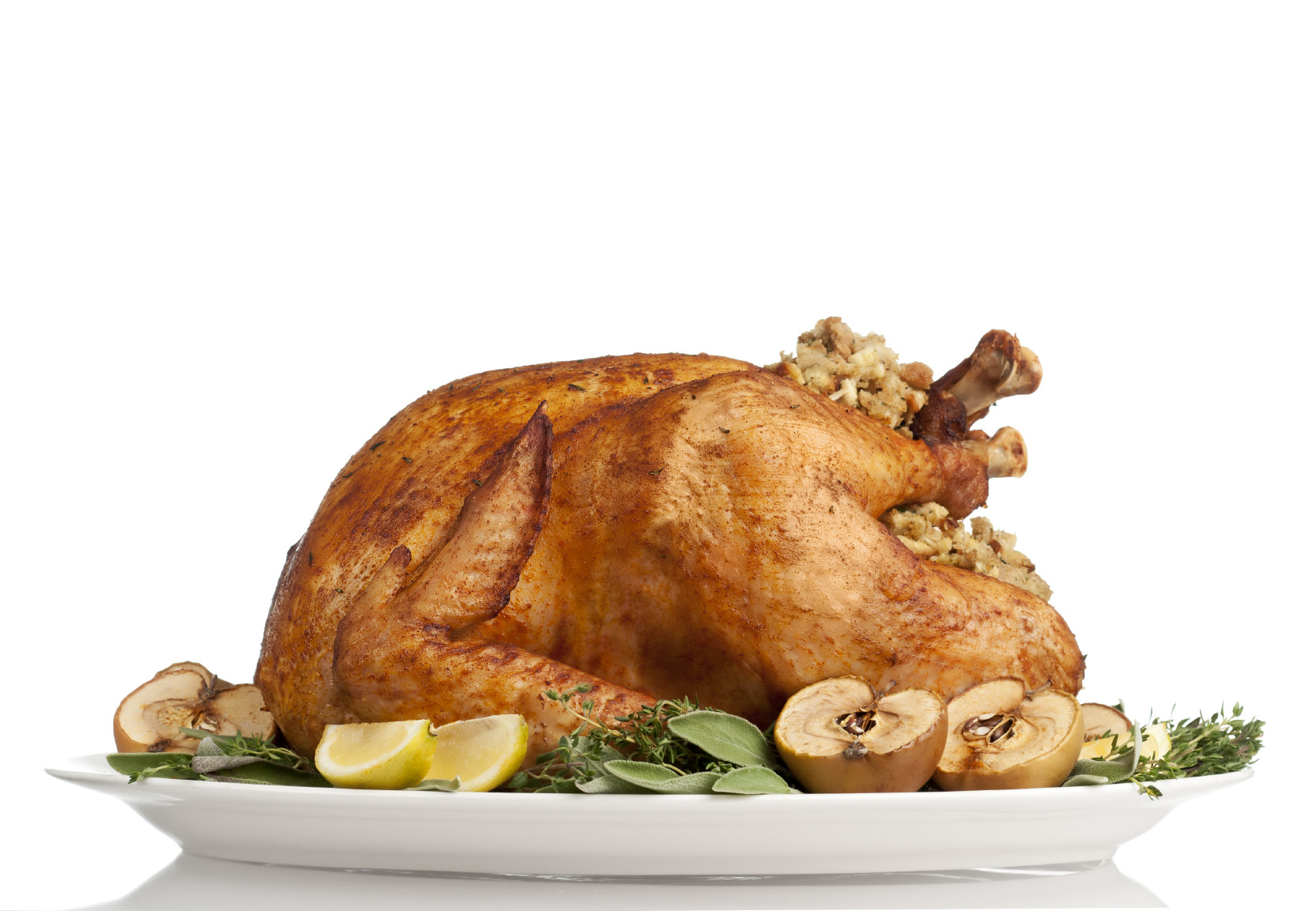 Fresh Turkey For Thanksgiving
 How to Cook an Organic or Free Range Turkey