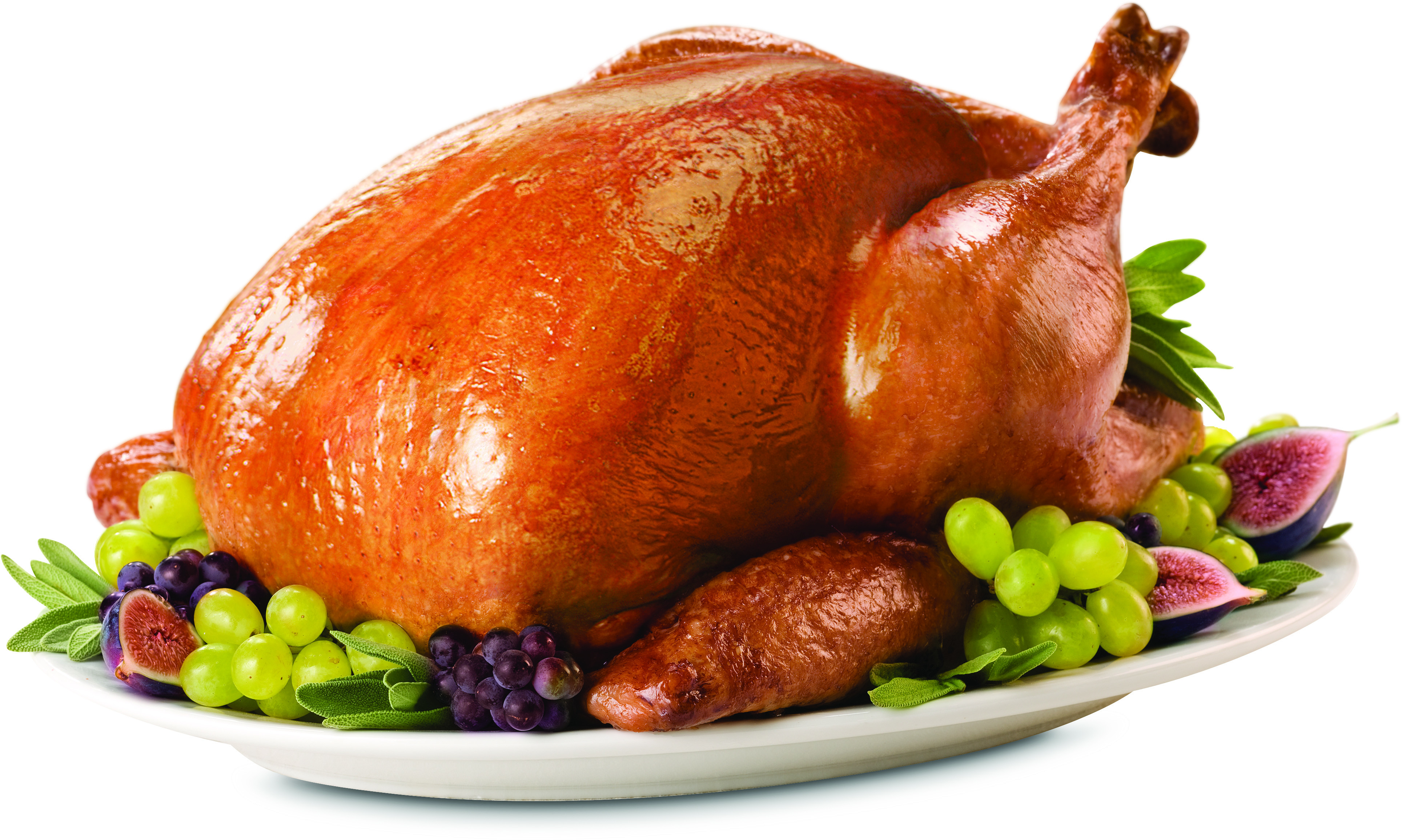 Fresh Turkey For Thanksgiving
 THANKSGIVING Brasserie de Montbenon Lausanne