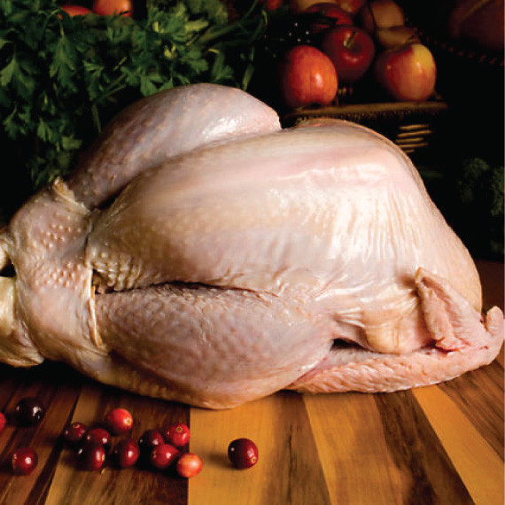 Fresh Turkey For Thanksgiving
 Fresh Turkeys