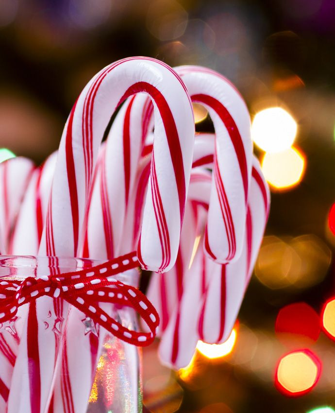 Fun Christmas Candy
 Best 25 Candy cane game ideas on Pinterest