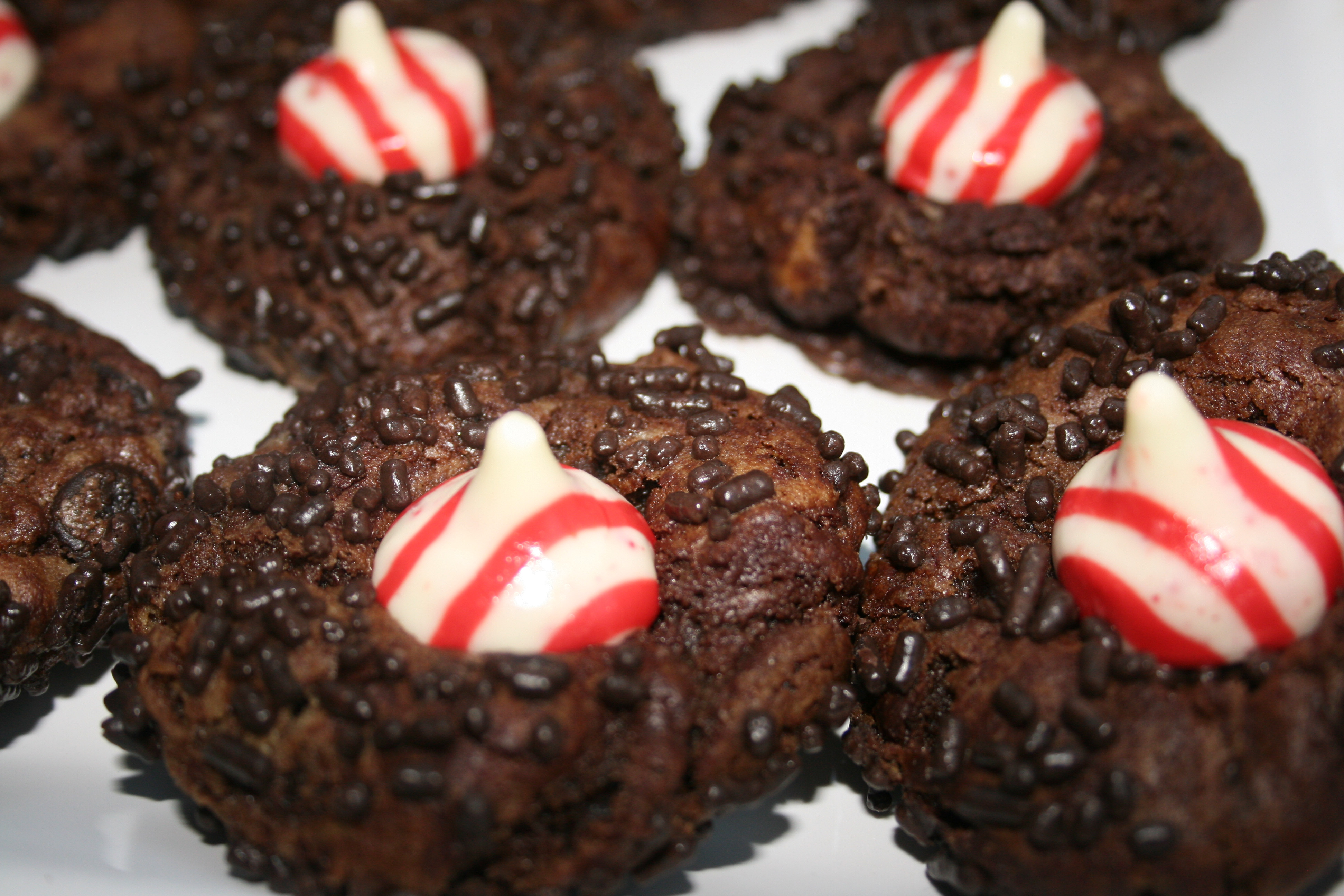 Fun Christmas Cookies Recipe
 Christmas Cookie Winner Double Chocolate Chip Peppermint