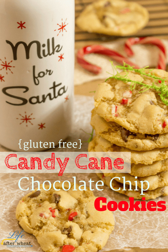 Gluten Free Christmas Candy
 Gluten Free Candy Cane Chocolate Chip Cookies