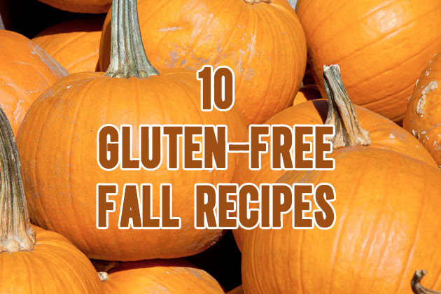 Gluten Free Fall Recipes
 10 Gluten free Recipes for Fall