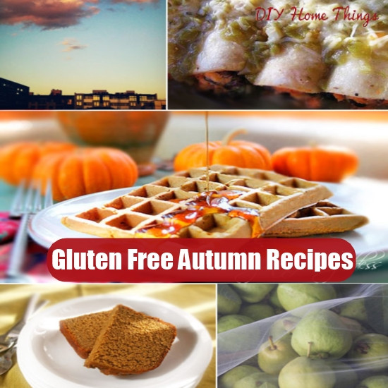 Gluten Free Fall Recipes
 20 Exciting Gluten Free Autumn Recipes