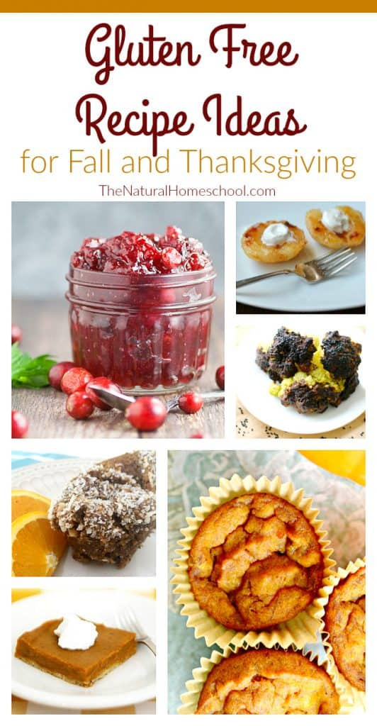 Gluten Free Fall Recipes
 Yummy & Easy Fall Desserts Recipes The Natural Homeschool