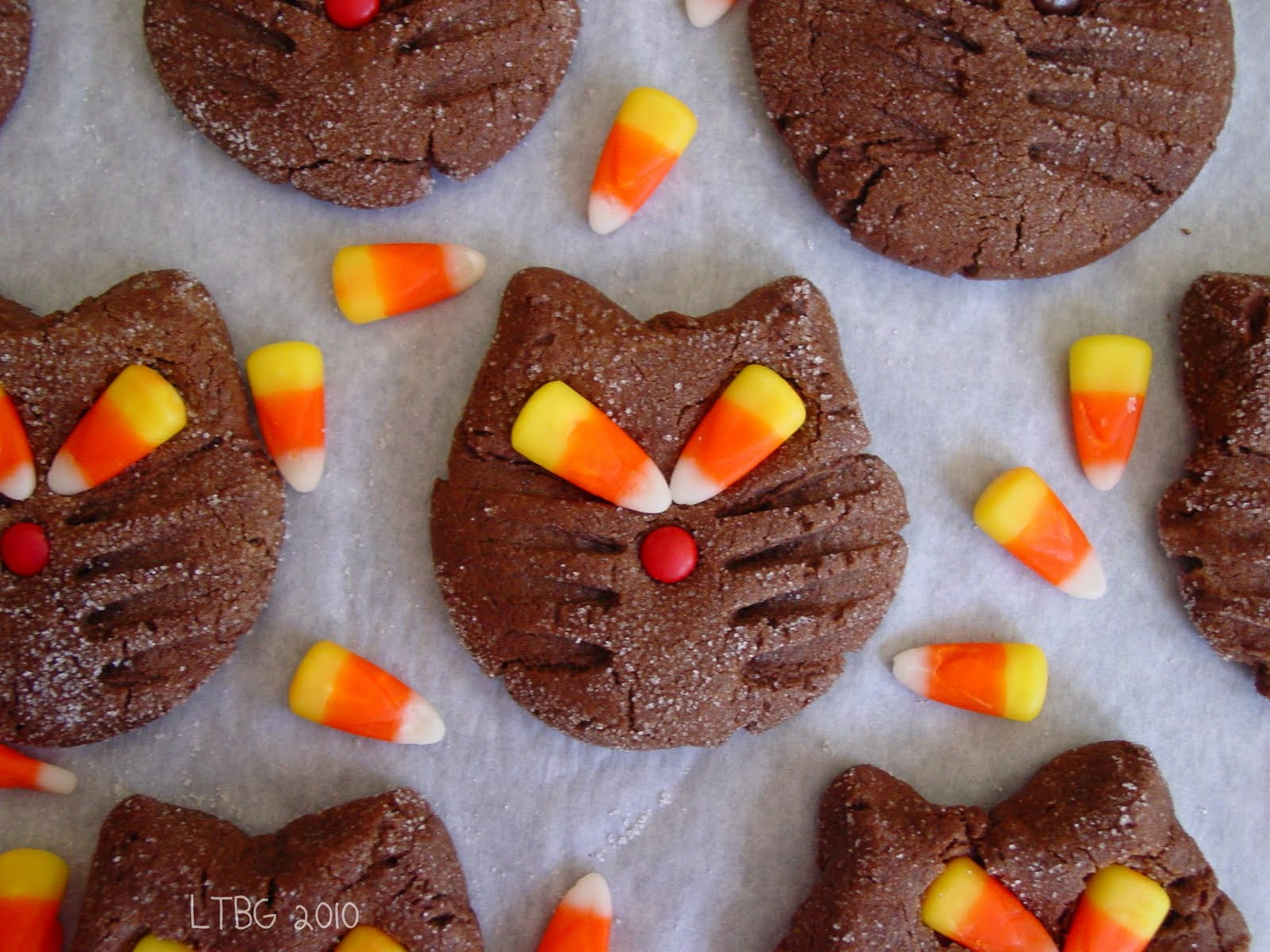 Halloween Cat Cookies
 Lick The Bowl Good Halloween Recipe Black Cat Cookies