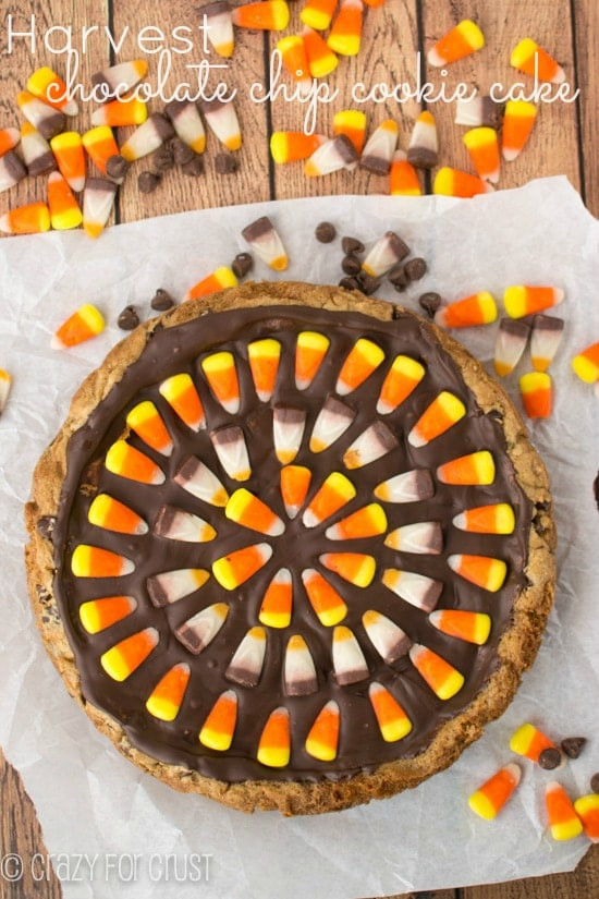 Halloween Cookie Cakes
 Harvest Chocolate Chip Cookie Cake Crazy for Crust