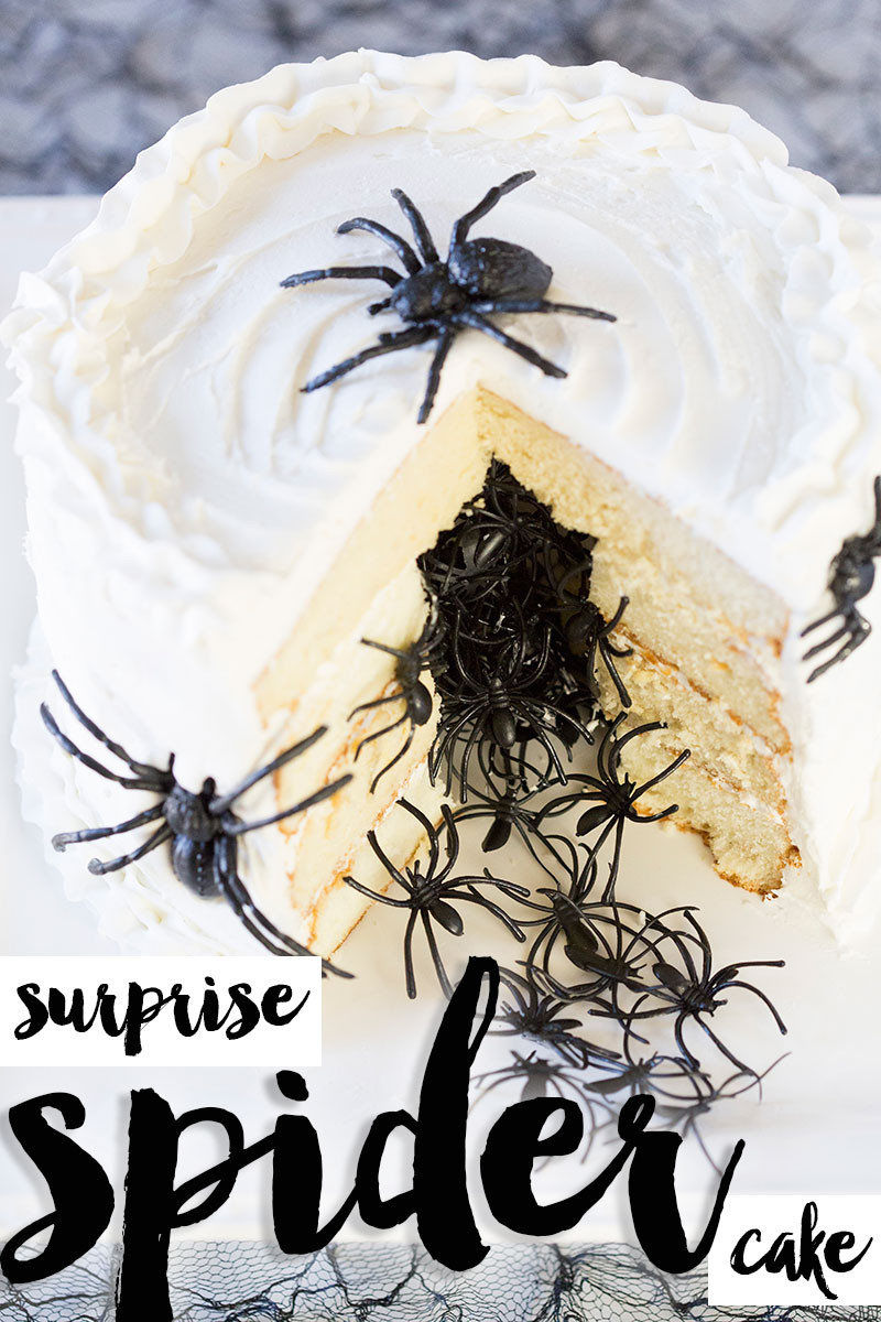 Halloween Spider Cakes
 Halloween Spider Cake DIY Tutorial & Recipe
