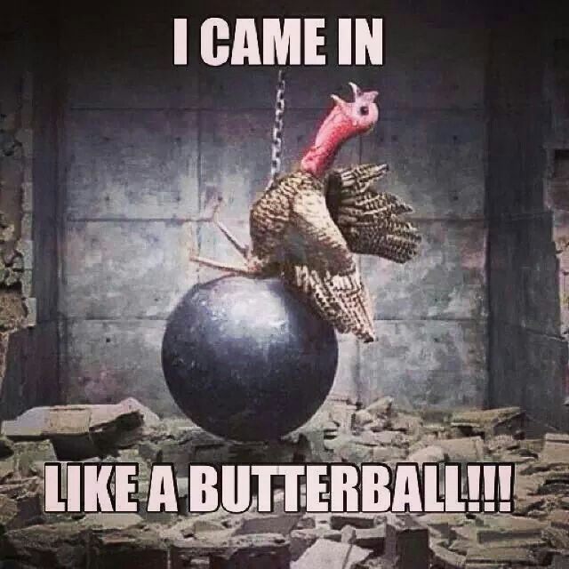 Happy Thanksgiving Jive Turkey
 Jive turkey hilarium