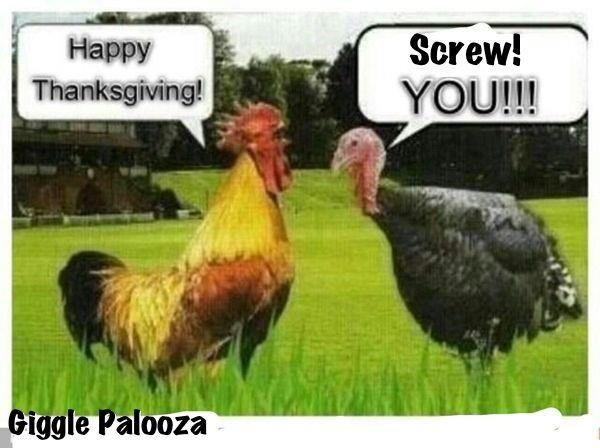 Happy Thanksgiving Jive Turkey
 Pin by Patty Stafford on Sooo Rude