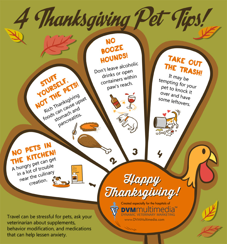 Healthy Thanksgiving Tips
 4 Thanksgiving Pet Tips Golden Woofs