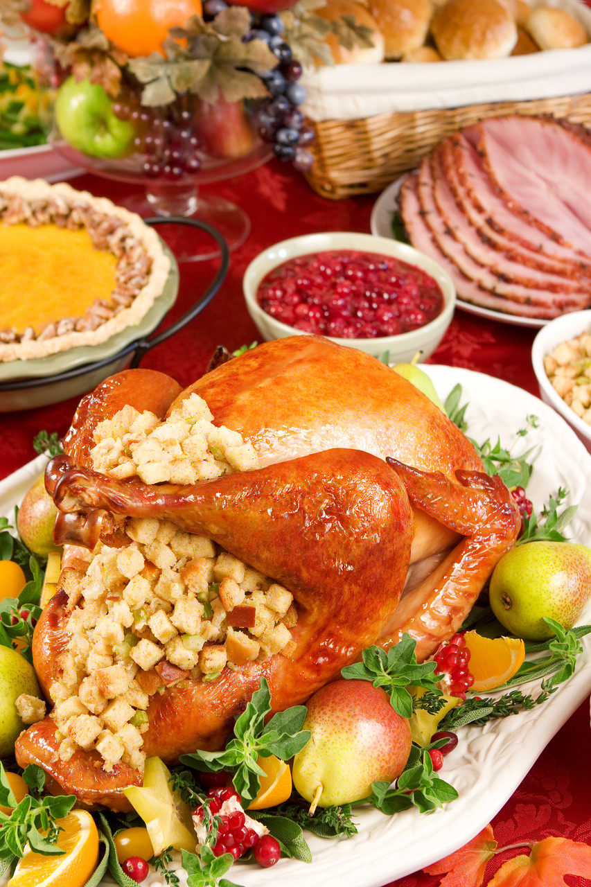 Ideas For Thanksgiving Dinner
 Christmas Dinner Party Menu