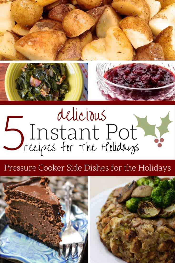 Instant Pot Christmas Recipes
 Holiday Instant Pot Recipes Hey Donna